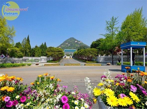 Du lịch Hàn Quốc 6N5Đ: Seoul - Jeju - Everland - Nami (Bay KH 5 SAO)